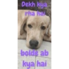 Dekh kya rha hai bolde ab kya hai