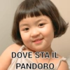 DOVE STA IL PANDORO