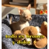 Way dolor
MA
VU
نقا
MA
todo es bronca
80