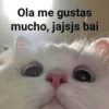 Ola me gustas
mucho, jajsjs bai