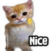 @rose.stickers1 F Nice