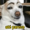 até parece