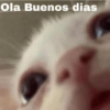 Ola Buenos dias