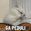 0
GA PEDULI