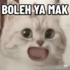 BOLEH YA MAK
IPS
#:1136658082