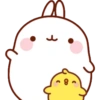 Molang y Piu Piu🧡 14
