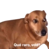 Memes 🥴👈🏻 7
