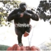 LYOWGA Y