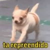 ta repreendido