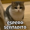 espero senTADITO