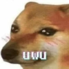 поп