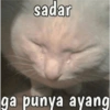 sadar ga punya ayang