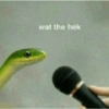 Memes memes 9
