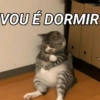 PEGA A VISÃO 10