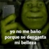 yo no me baño porque se desgasta mi belleza