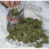 mi unica droga
son tus besos bb