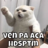 ven PA ACA HDSPTM