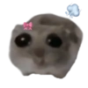 Sad Hamster 19