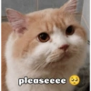 pleaseeee