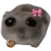 Sad Hamster 9
