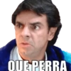 QUE PERRA