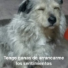 Tengo ganas de arrancarme los sentimientos