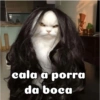 Gatinhos 24