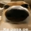 Ando hot(Shitpost Útiles)😉✨ 12