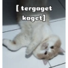 [ tergaget kaget]
