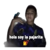 Stich triste  11