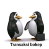 Pinguin 9