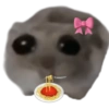 Sad Hamster 18