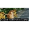 Cheems telugu 4.0 19