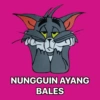 J NUNGGUIN AYANG BALES