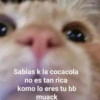 Sabias k la cocacola no es tan rica komo lo eres tu bb muack