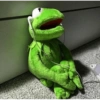 Kermit the frog 27
