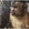 🎀🐵🐈‍⬛ 27