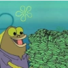 Money sponge Bob💰💵💛✨ 8