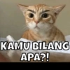 KAMU BILANG
APA?!