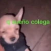 Ando hot(Shitpost Útiles)😉✨ 11