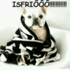 Que frio 18