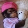 🎀🐵🐈‍⬛ 15