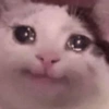 😿😭 Gatos Sad 😭😿 12