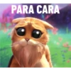 Bad cats 24