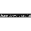 Frasi 14