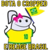 TORCENDO COM FLORK🇧🇷🟩🟨 11