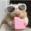 Stickers de hamsters 17