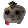 Sad Hamster 23