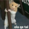 ola qe tal