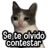MIX de Memes #9 🏖️ 4